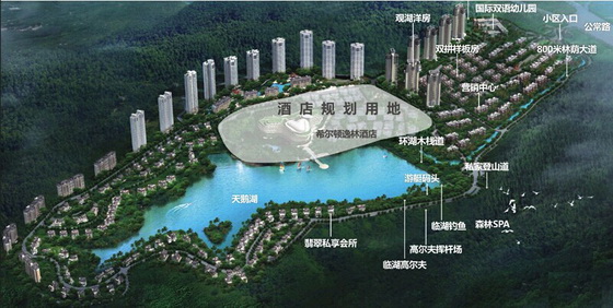 金地湖山大境规划图