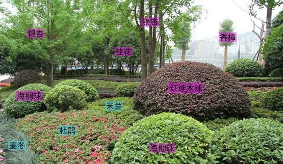 园林景观设计选择原则