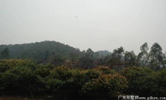 点击浏览大图
