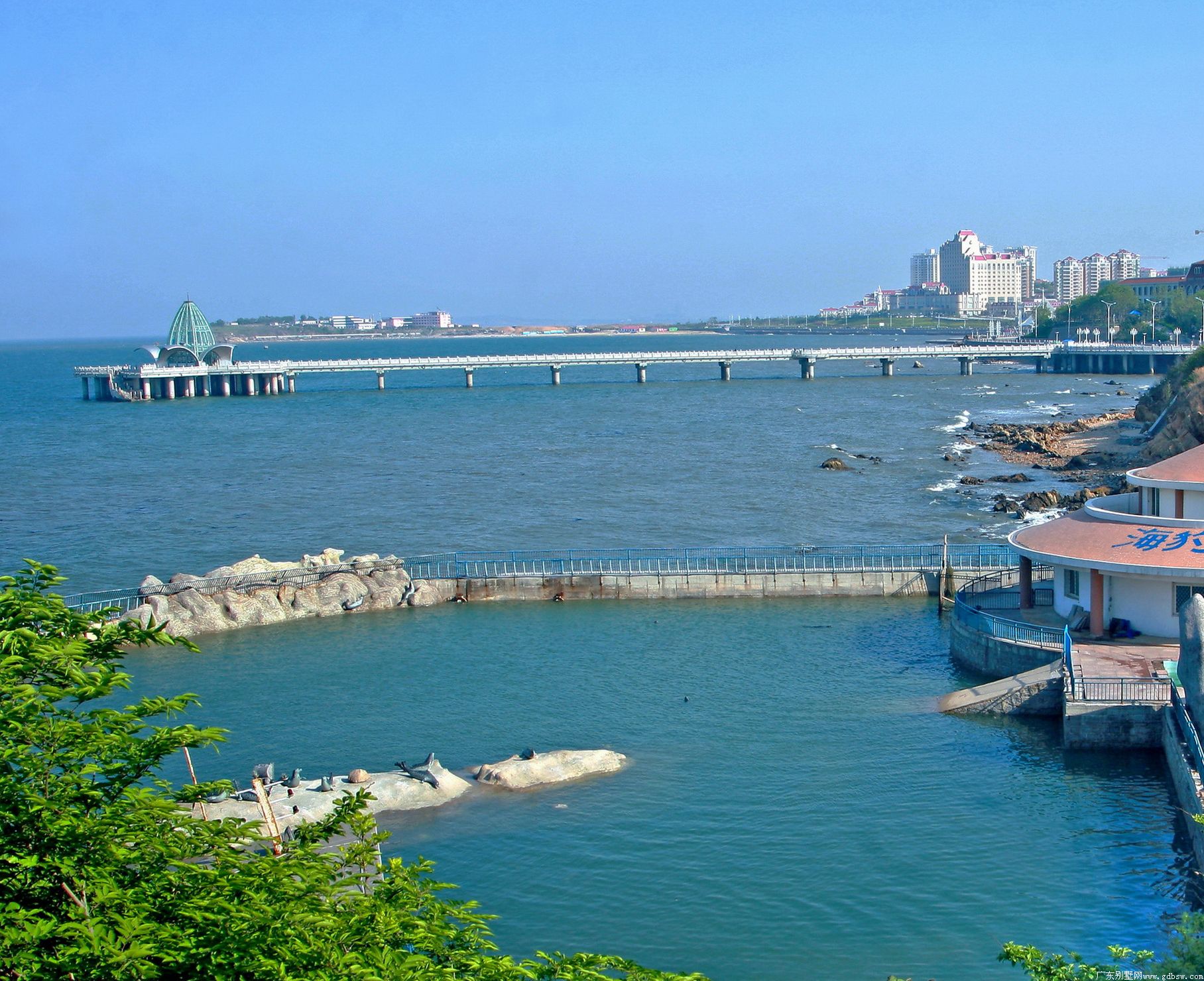 点击浏览大图